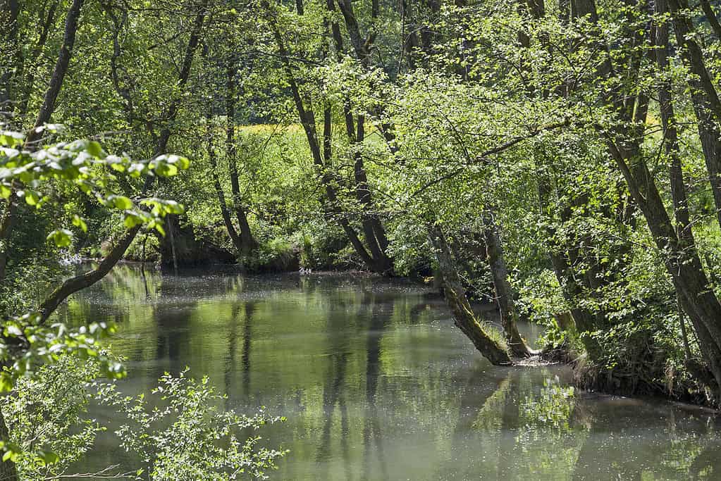 Wasserzweck Verband Hohenschambach